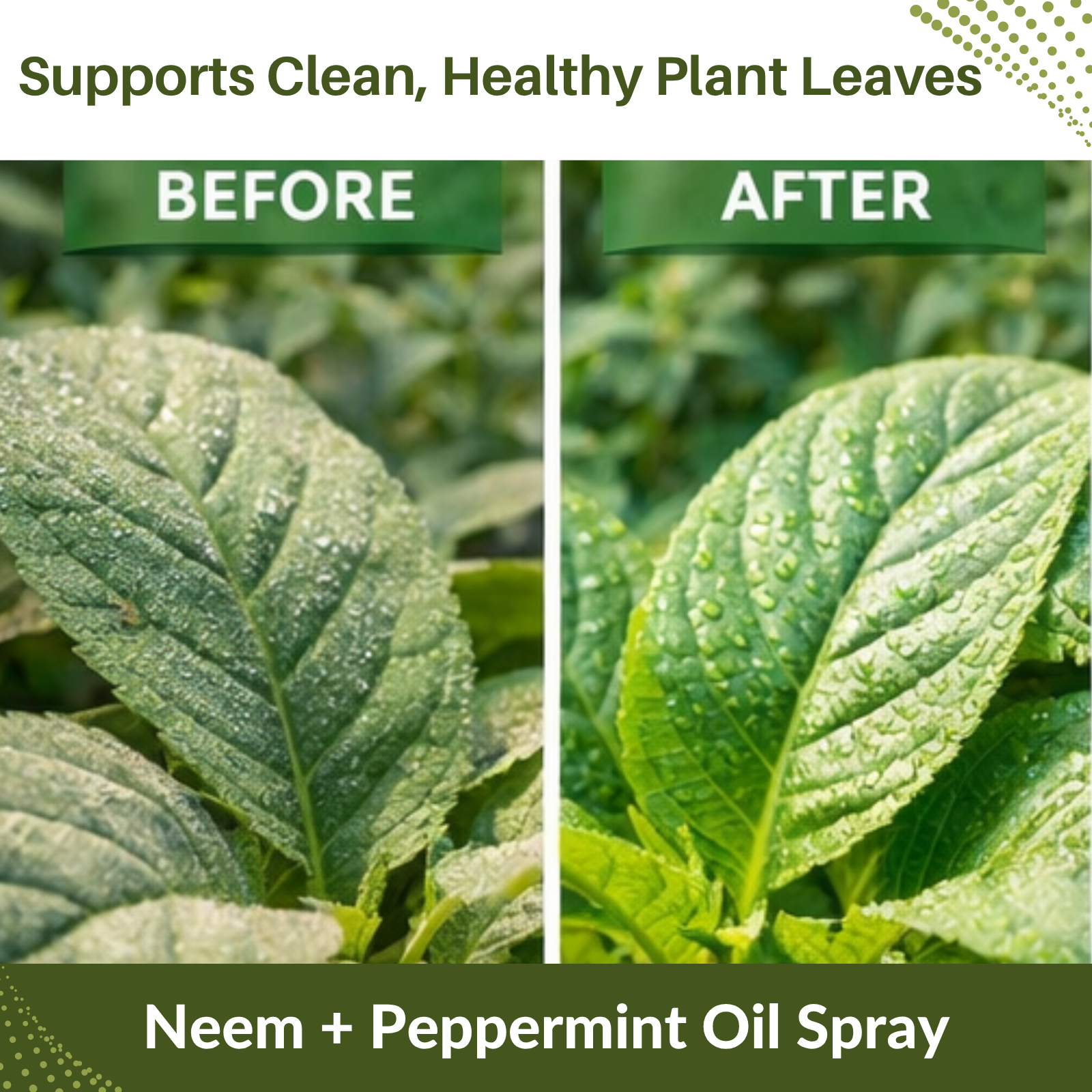 Neem & Peppermint Plant Spray for Garden, Vegetables & Indoor Plants – Botanical Leaf Care Mist, Supports Clean Healthy Leaves, Ready-to-Use Garden Spray for Fruits, Herbs & Houseplants-3